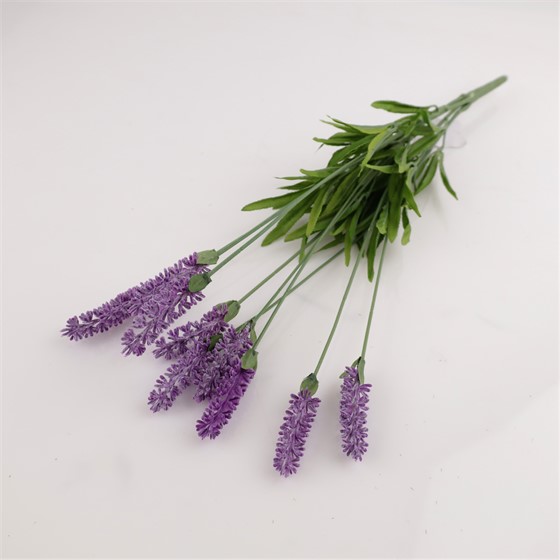 Lavanda x10 51cm