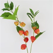 Physalis 92cm narančasta