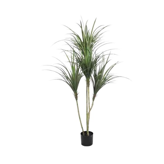 Umjetno drvo Yucca 160cm 216 listova