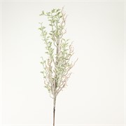 Grana zelena frost 75cm