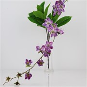 Clerodendrum 104cm ljubičasta