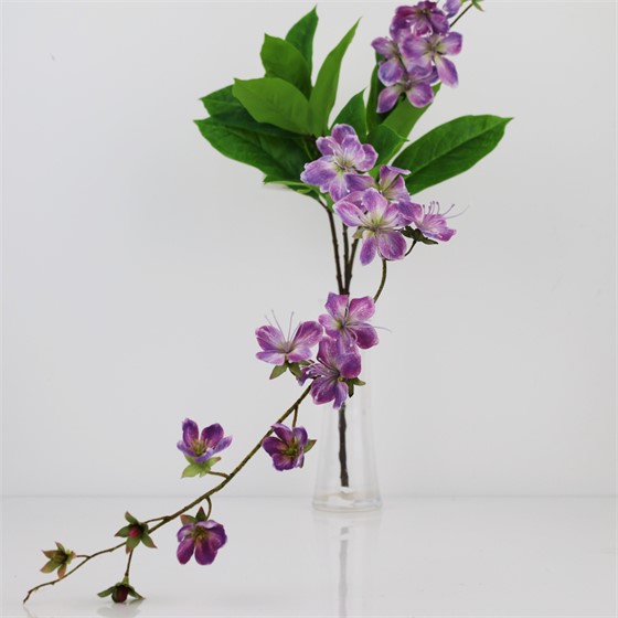 Clerodendrum 104cm ljubičasta