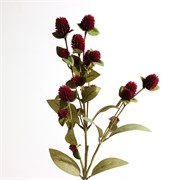 Globosa x7 suha 69cm burgundy