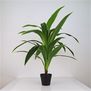 Umjetno drvo Dracena 110cm 18listova