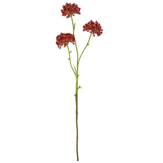 Allium pup x3 60cm crvena