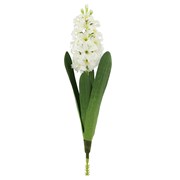 Hyacinth/Zumbul krem 44cm