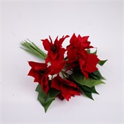 Poinsettia buket x8 29cm crvena