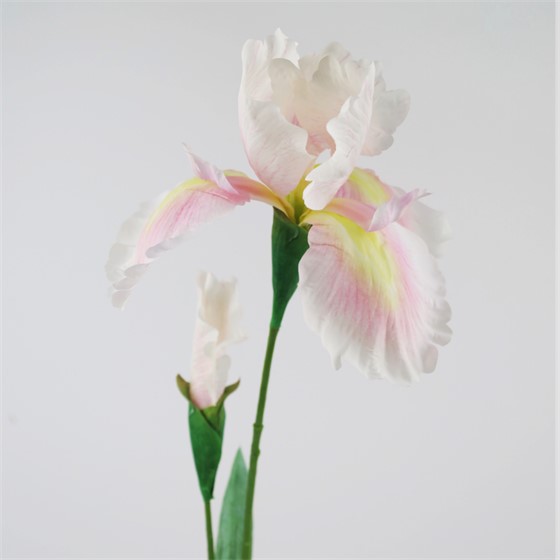 Iris 83cm bijela