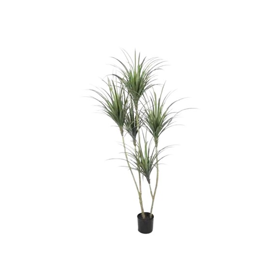 Umjetno drvo Yucca 200cm 285 listova