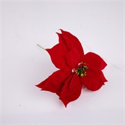 Poinsettia 25cm velvet crvena