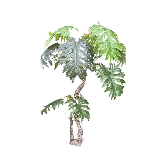 Umjetno drvo Philodendron selloum 240cm