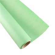 Papir rola 22gr 70cm/25m light green 79