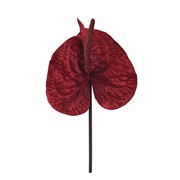 Grana Anthurium 66x12x12h cm crvena