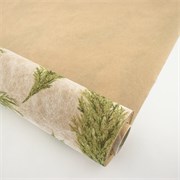 Flizelin-papir Paperfibra Pampas 75cm/20m zelena 17