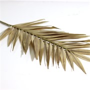 Grana palme 110cm natur