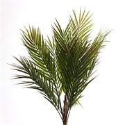 Grana palme 65cm zelena/crvena