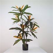 Umjetno drvo Cordyline fructiosa 145cm x6