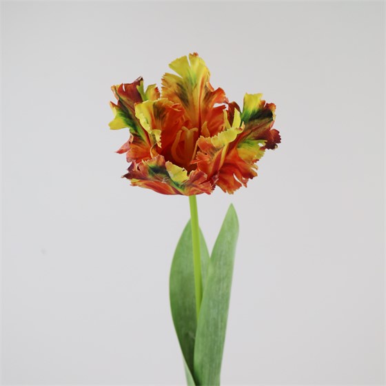 Tulipan 70cm crveno/žuti