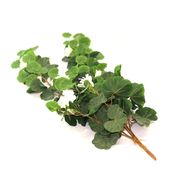 Pelargonija 90cm zelena s patinom/bijeli cvjetovi