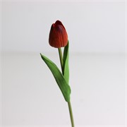 Tulipan 33cm ginger