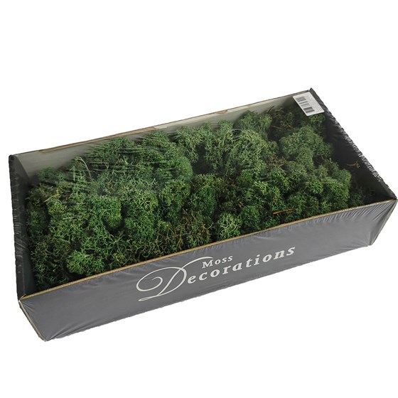 Mahovina islandska 500g moss zelena