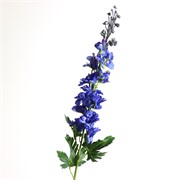 Delphinium/Kokotić 79cm plava