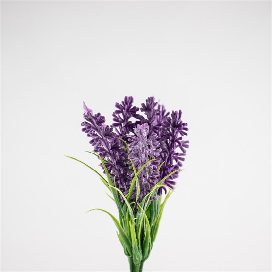 Lavanda x6 18cm