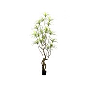 Umjetno drvo Dracena 250cm